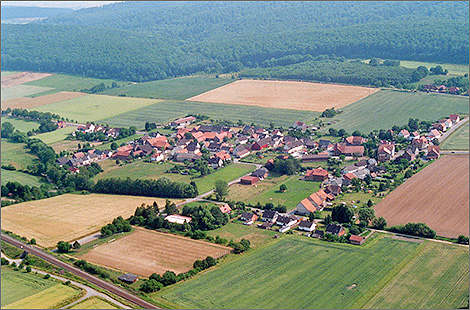 Mainzholzen
